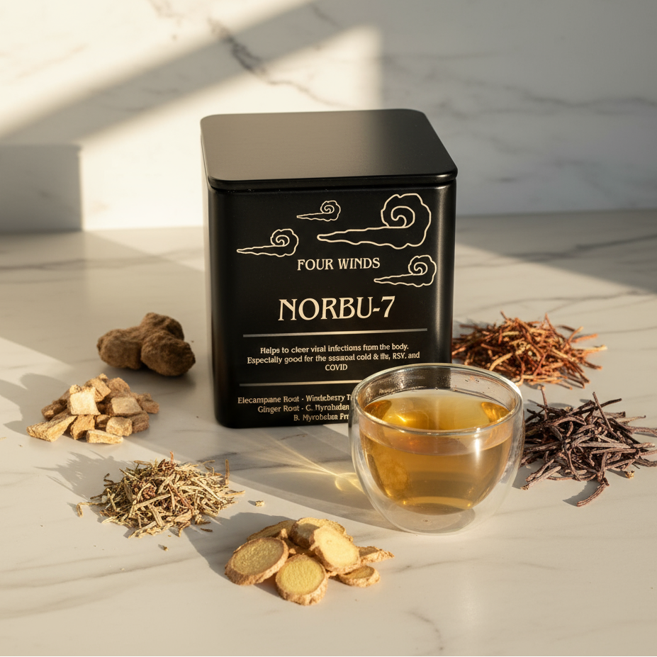 Black container labeled 'Four Winds Norbu-7' on a light gray background
